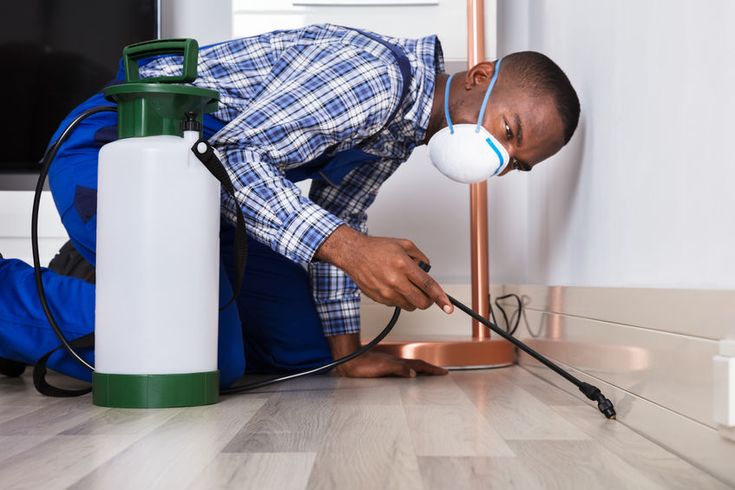 pest control cost